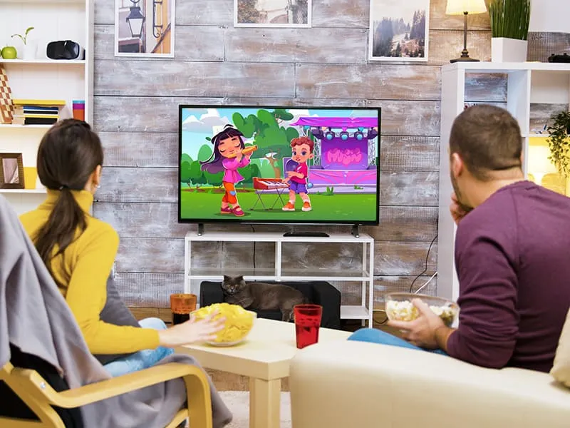 the popularity of animated tv shows