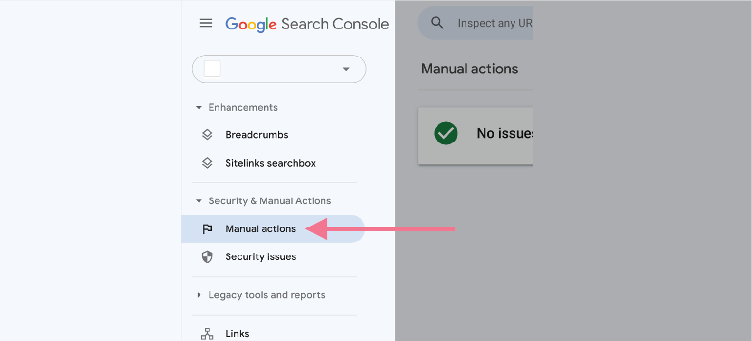 Check Search Console for Manual Actions