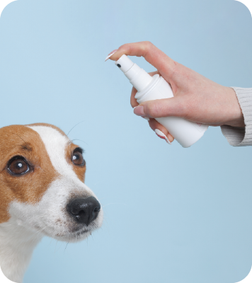 Pet-Odor-Eliminator-Spray