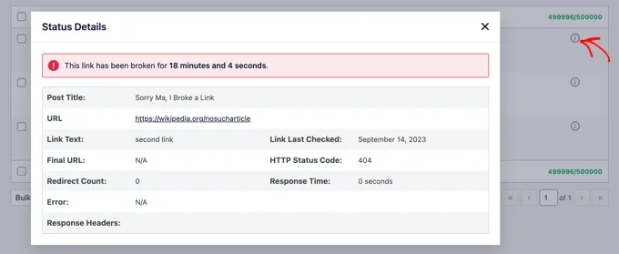 broken links checker status details