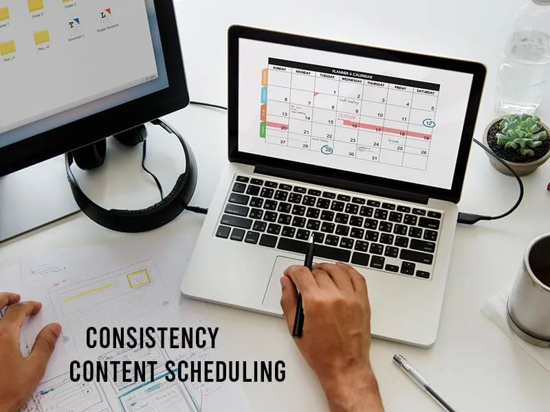 establish your publishing pace