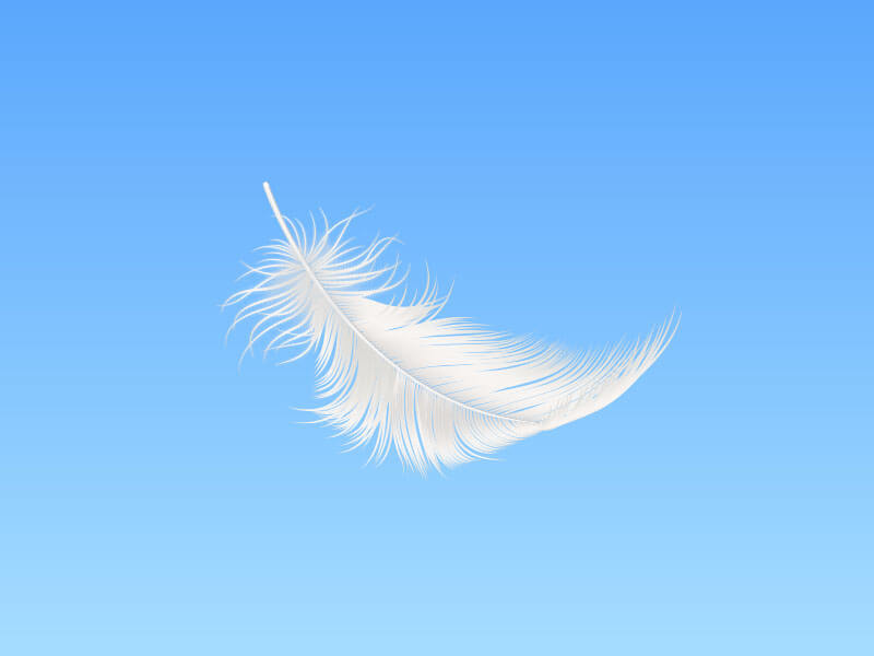 falling-feather