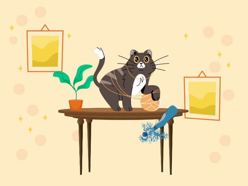 playful-cat-making-disasters