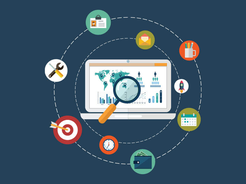track-google-business-profile-insights