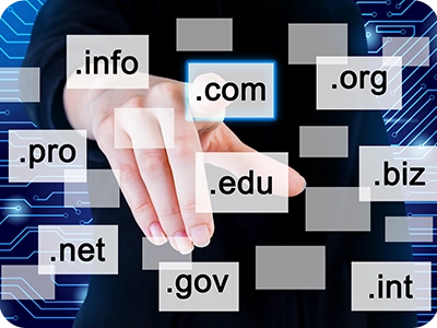 website domain checklist